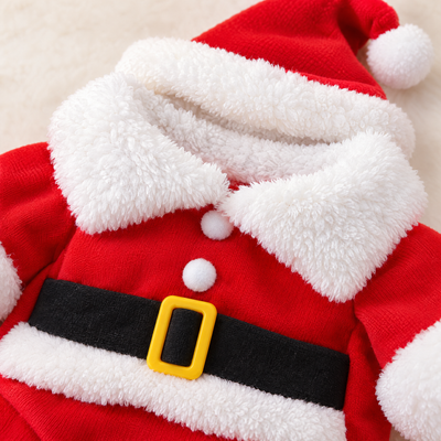 Santa Pet Costume