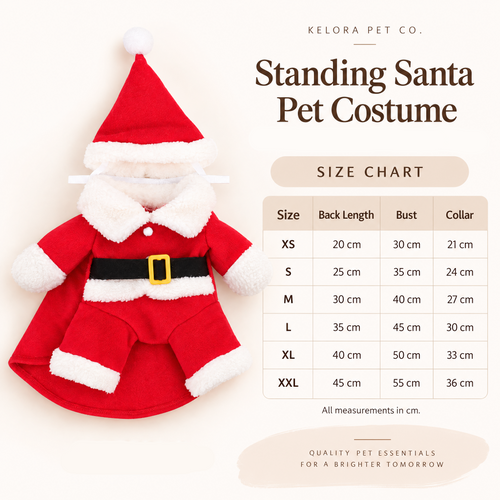 Santa Pet Costume